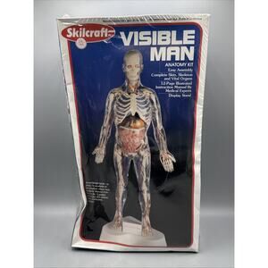 Vintage Skilcraft Visible Man Anatomy Model Kit (40155) Sealed Box Damage
